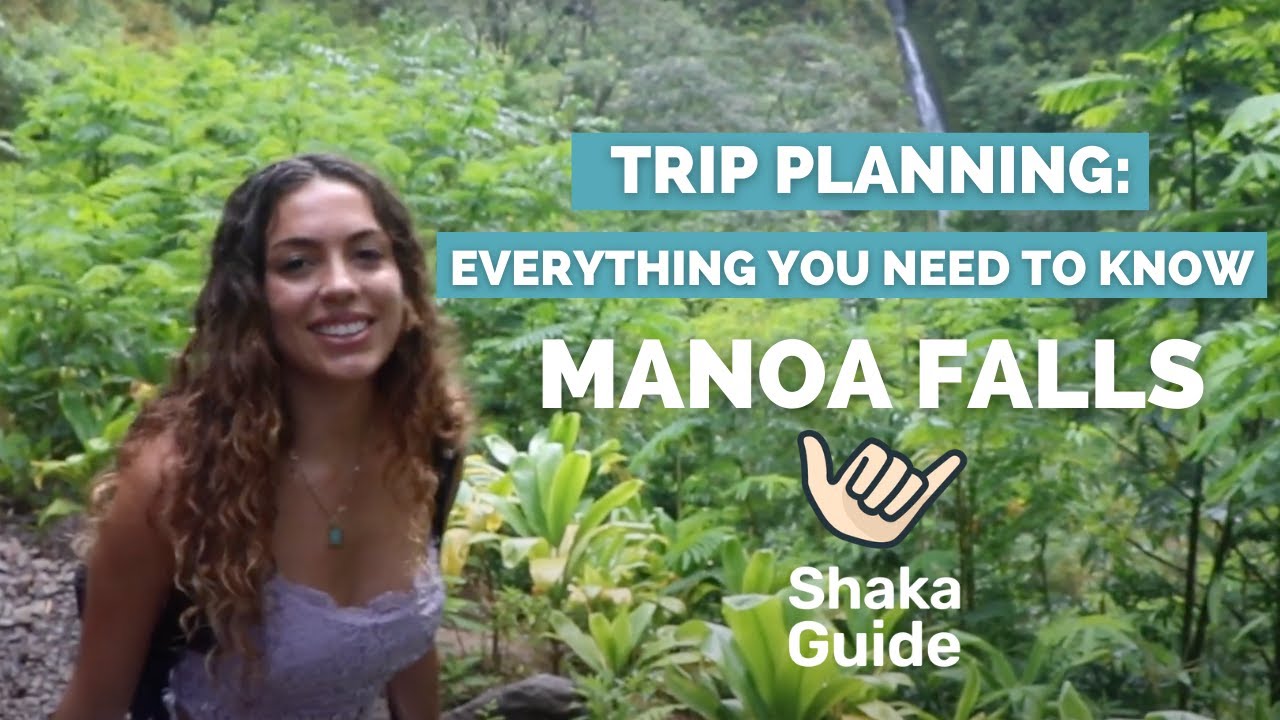 Trip Planning: Everything You Need to Know for your trip to Manoa Falls, Oahu!