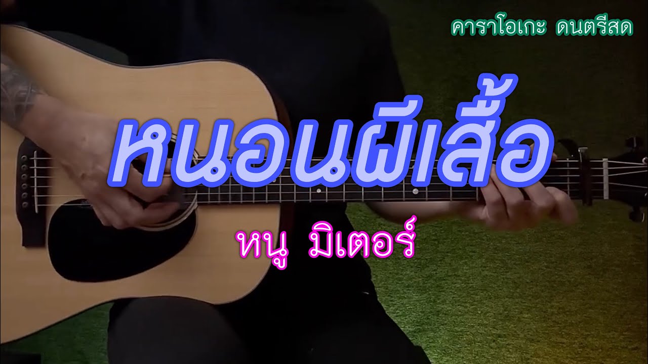 หนอนผีเสืัอ - หนู มิเตอร์ | กีต้าร์โปร่ง คาราโอเกะ | popnice