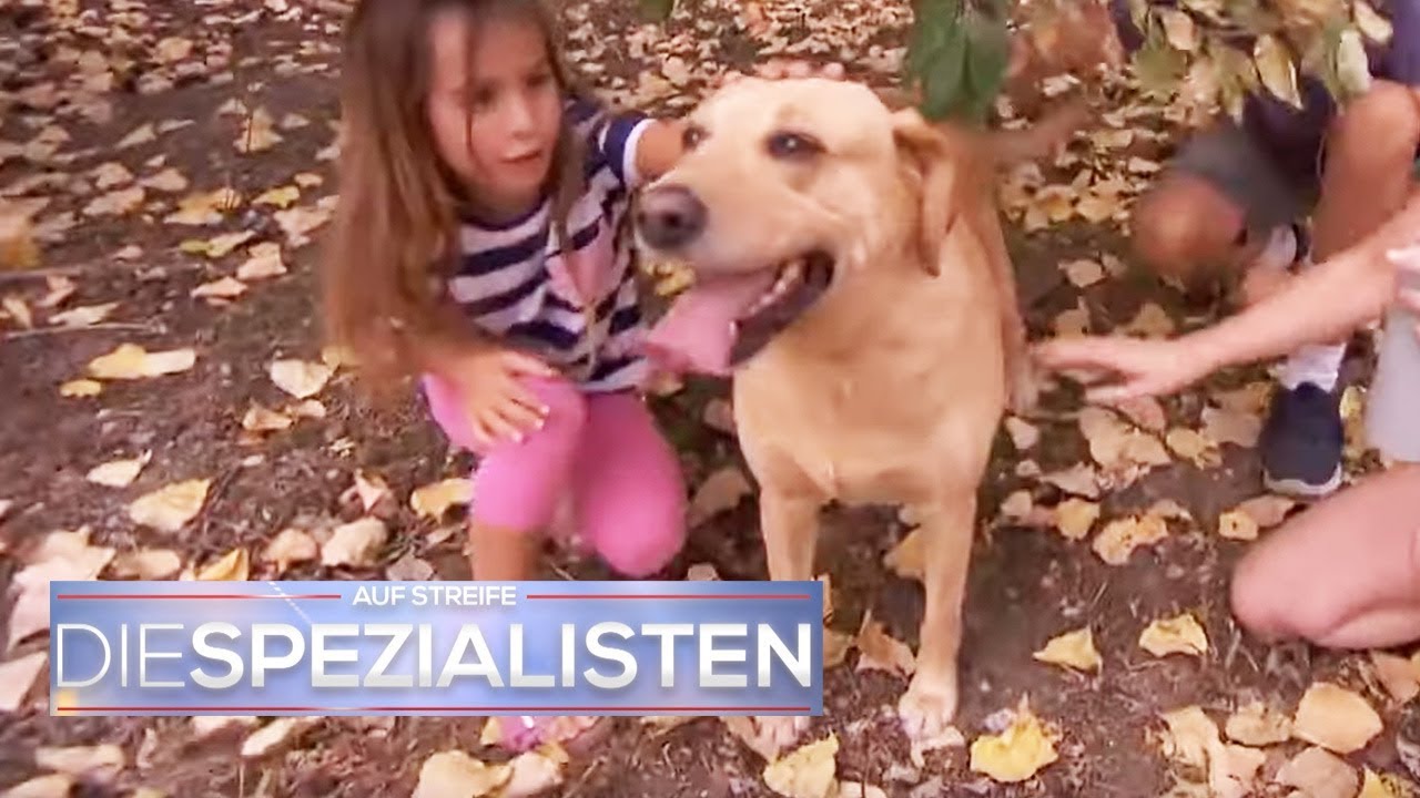 Hund gefunden! Wurde Flocke ausgesetzt? | Die Spezialisten | SAT.1