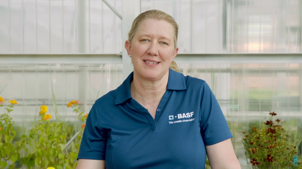 Nemasys® Beneficial Nematodes: Foliar Application for Western Flower Thrips