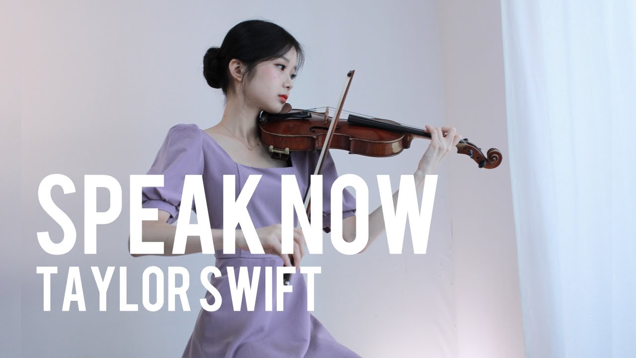 Taylor Swift - Speak Now - Violin Cover