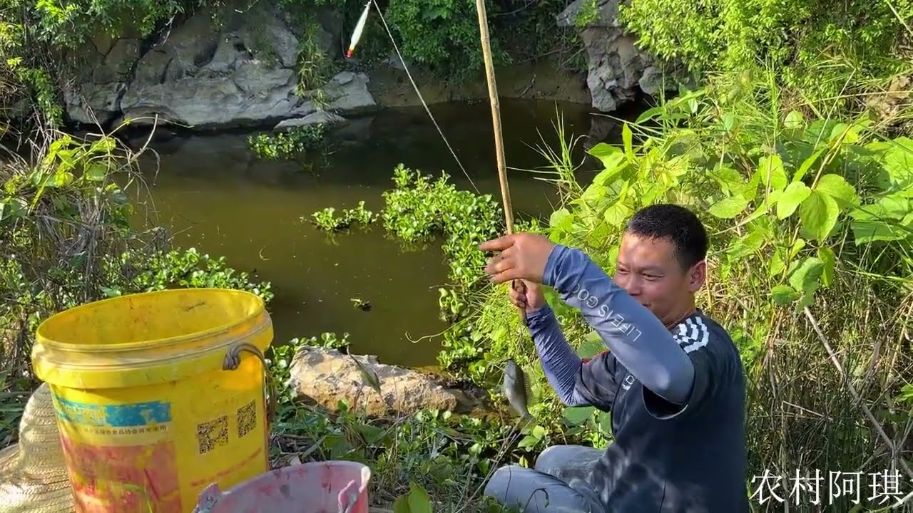 这里鱼情真暴躁，阿琪下竿就接口狂拉，收获满满看着都过瘾
