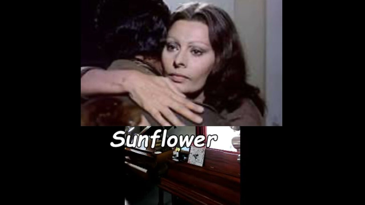 Sun Flower