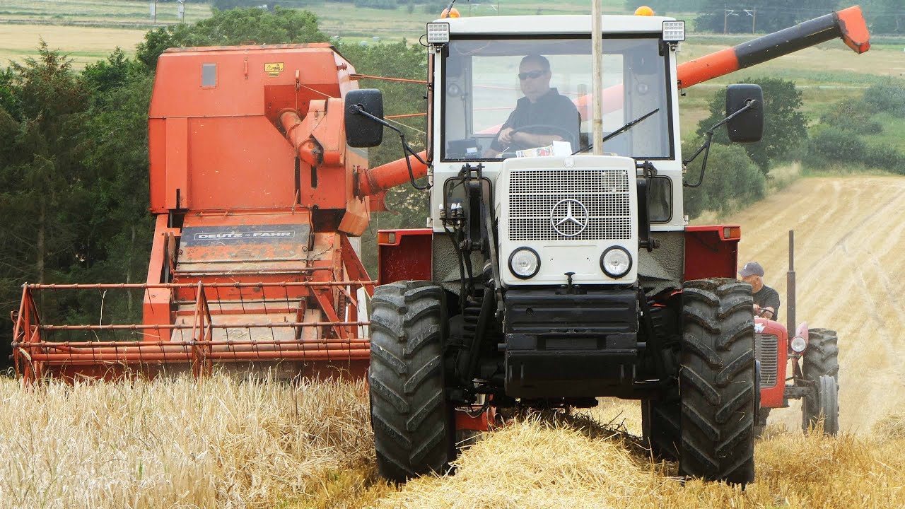 Vintage Harvest Day 2025 | Lots of Great & Special Machinery in The Field Harvesting Barley
