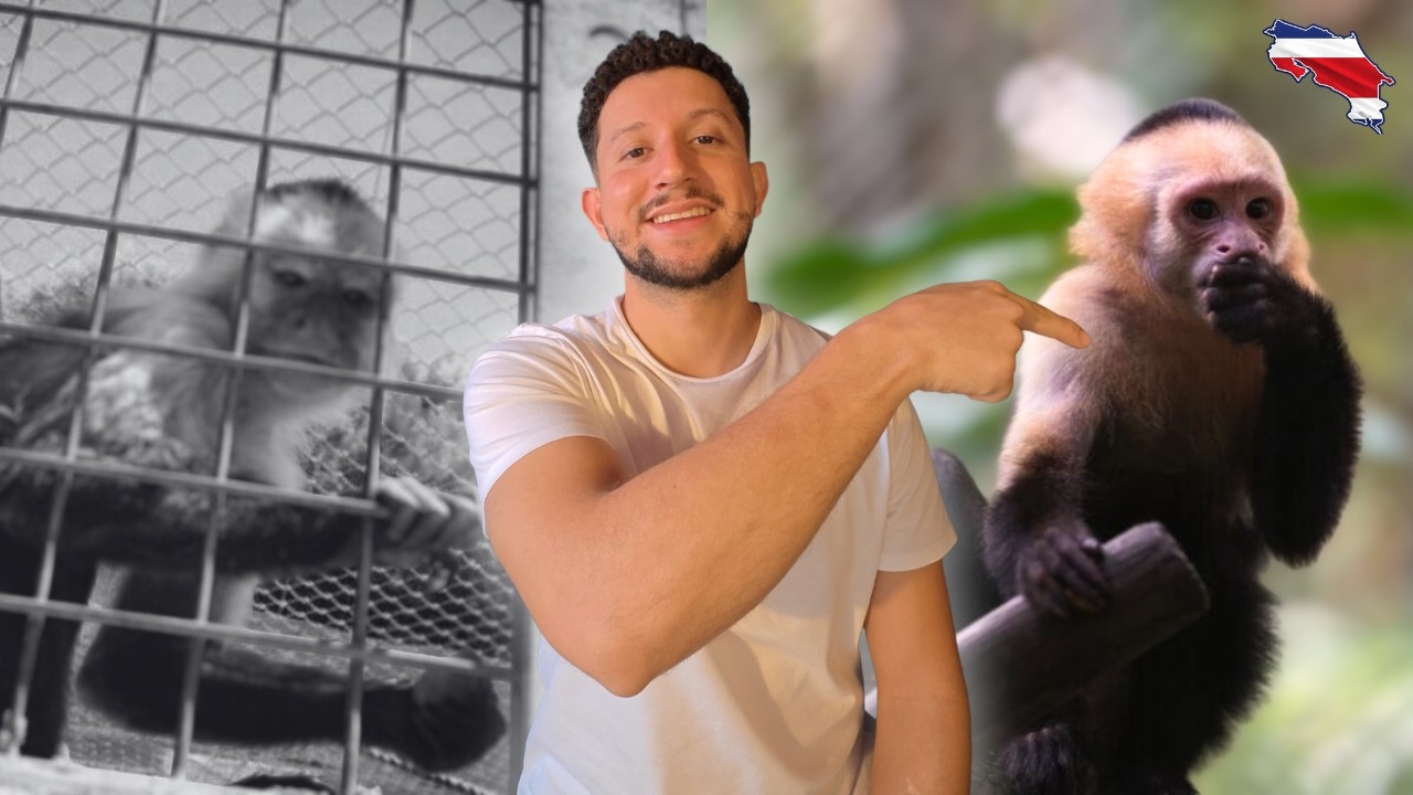Lo Que Costa Rica Hizo Con Los Zoológicos Cambió TODO… 🐒🇨🇷
