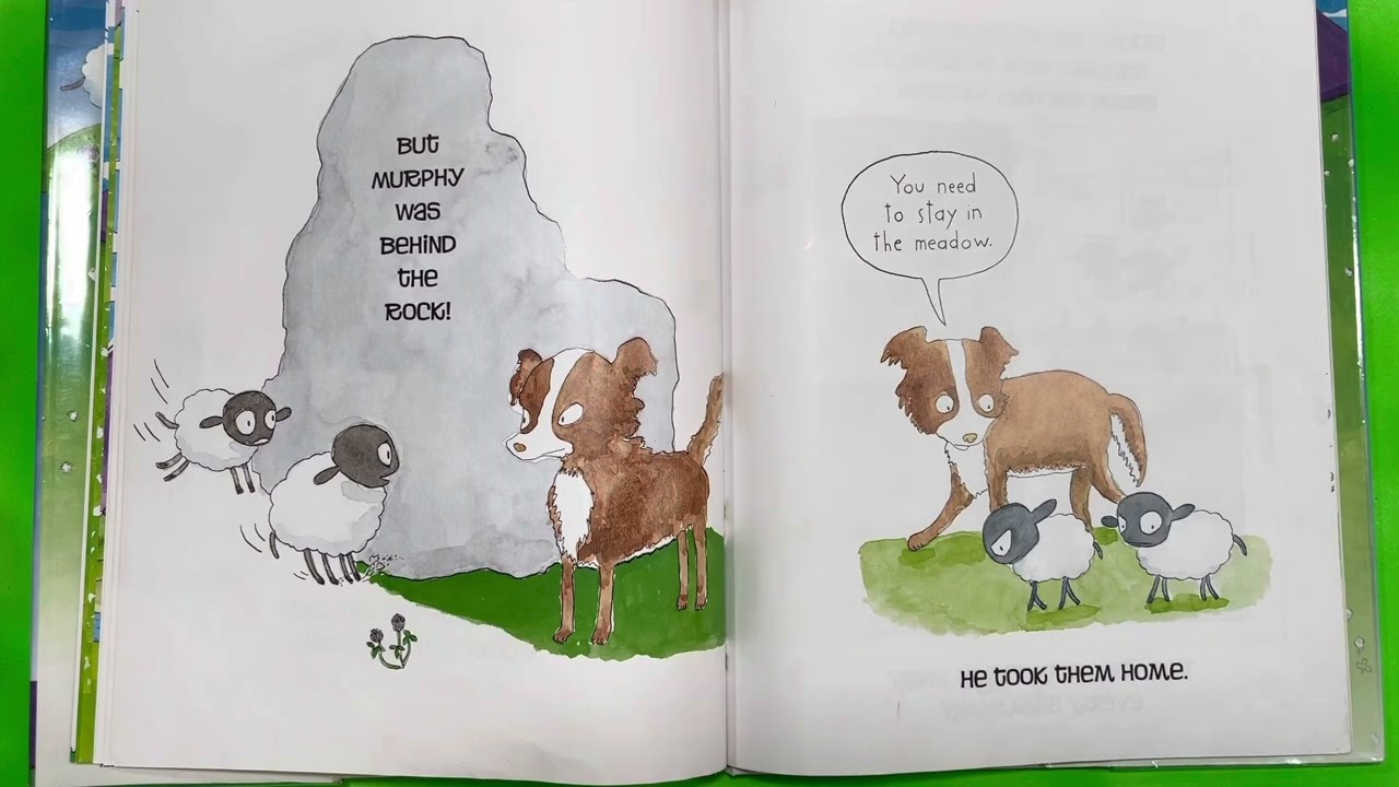 Book: Sneaky Sheep 🤫🐑