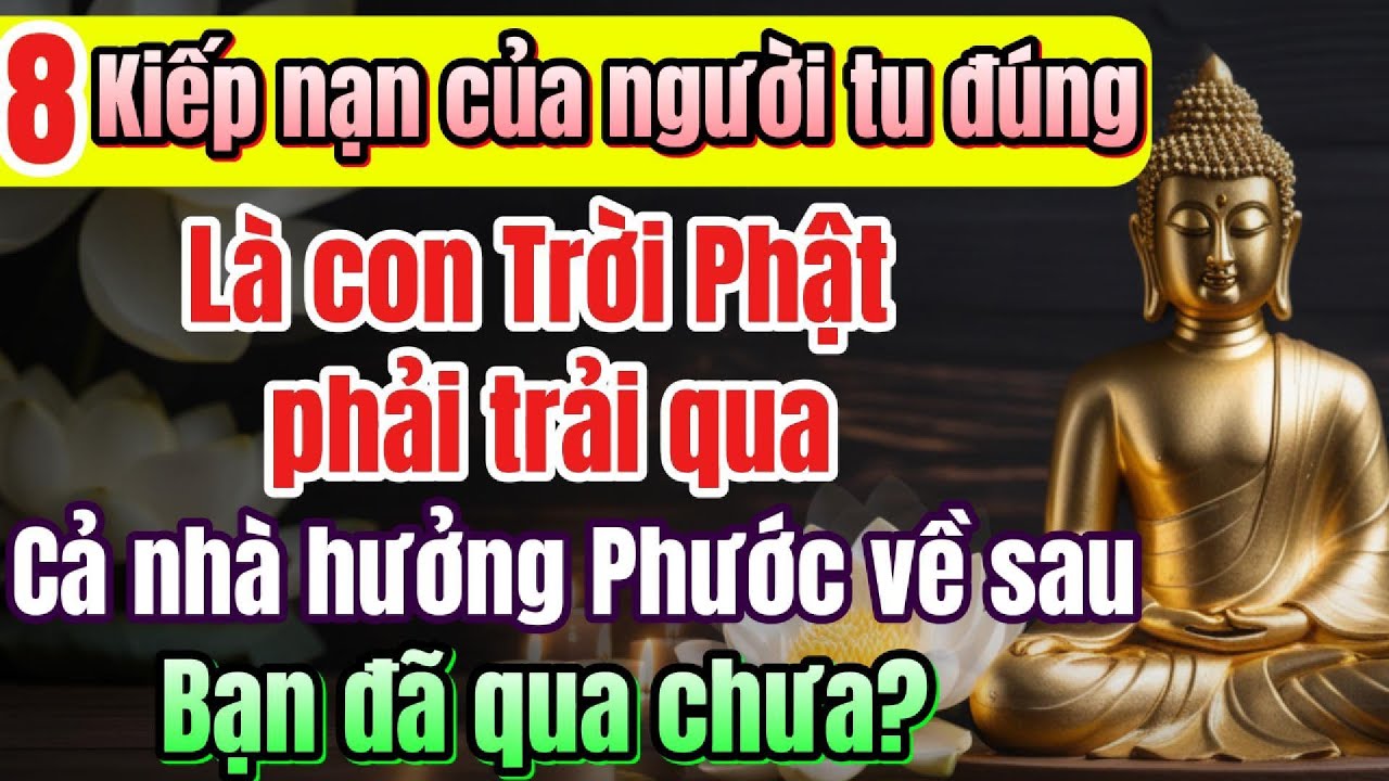Dấu hiệu bạn tu đúng, về sau chỉ hưởng phước phải trãi qua 8 dấu hiệu này | Quán Trà Đời