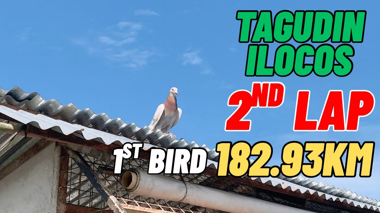 SECOND LAP TAGUDIN ILOCOS HARD RACE