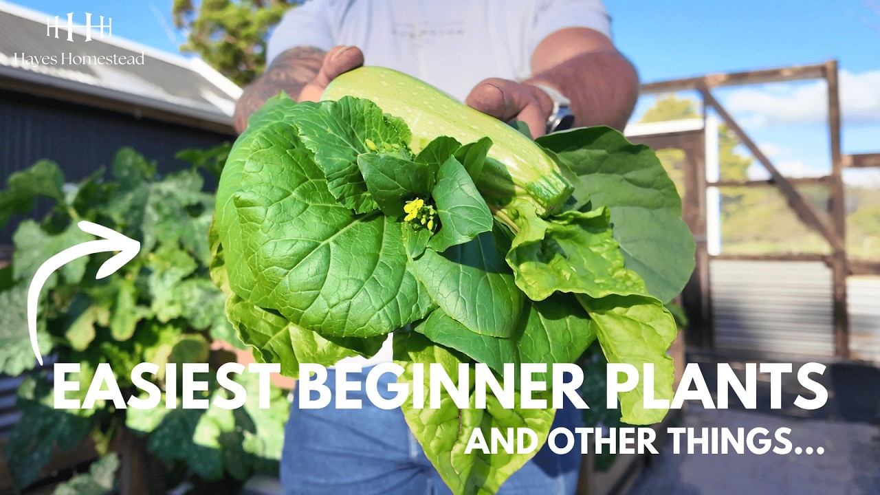 Garden Beds, Soil, and Seeds | Winter Homestead Strategy