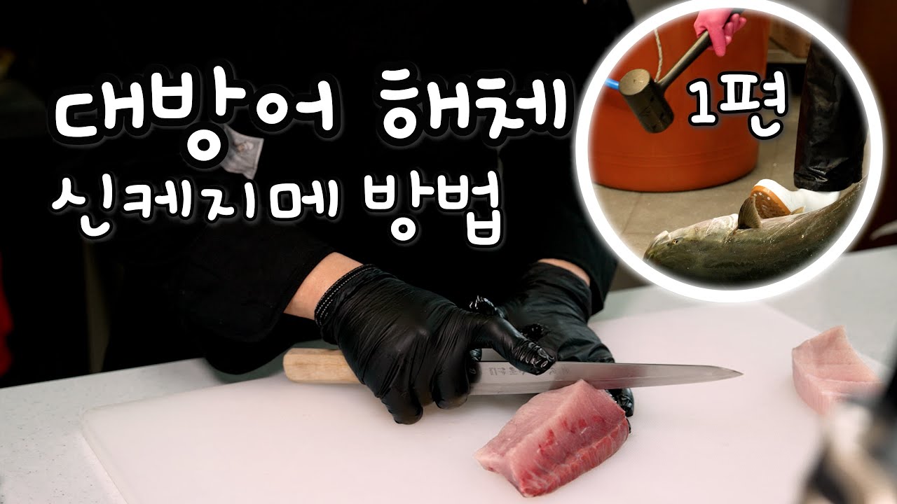일산 대방어 해체 -1편- 겨울 최고 횟감 ' 대 방 어 ' 제대로 해체하는 방법 (신케지메)