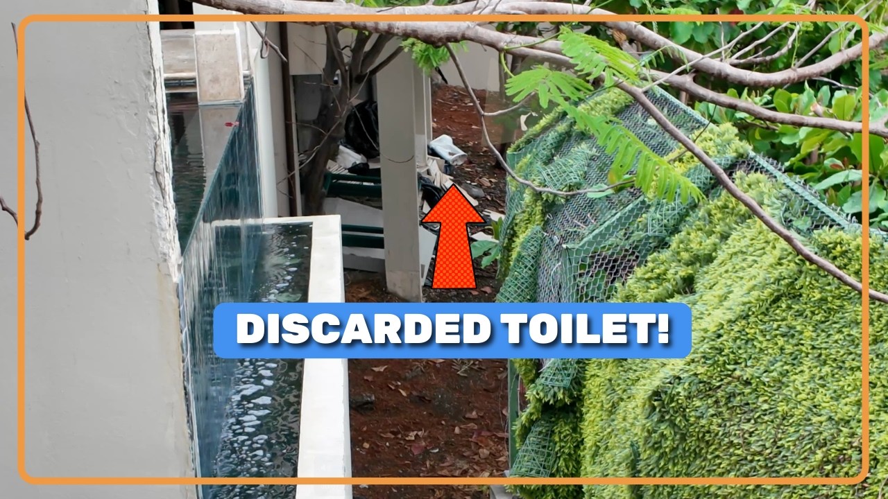 Casa Chameleon Costa Rica — это элитный или отстойный отель?