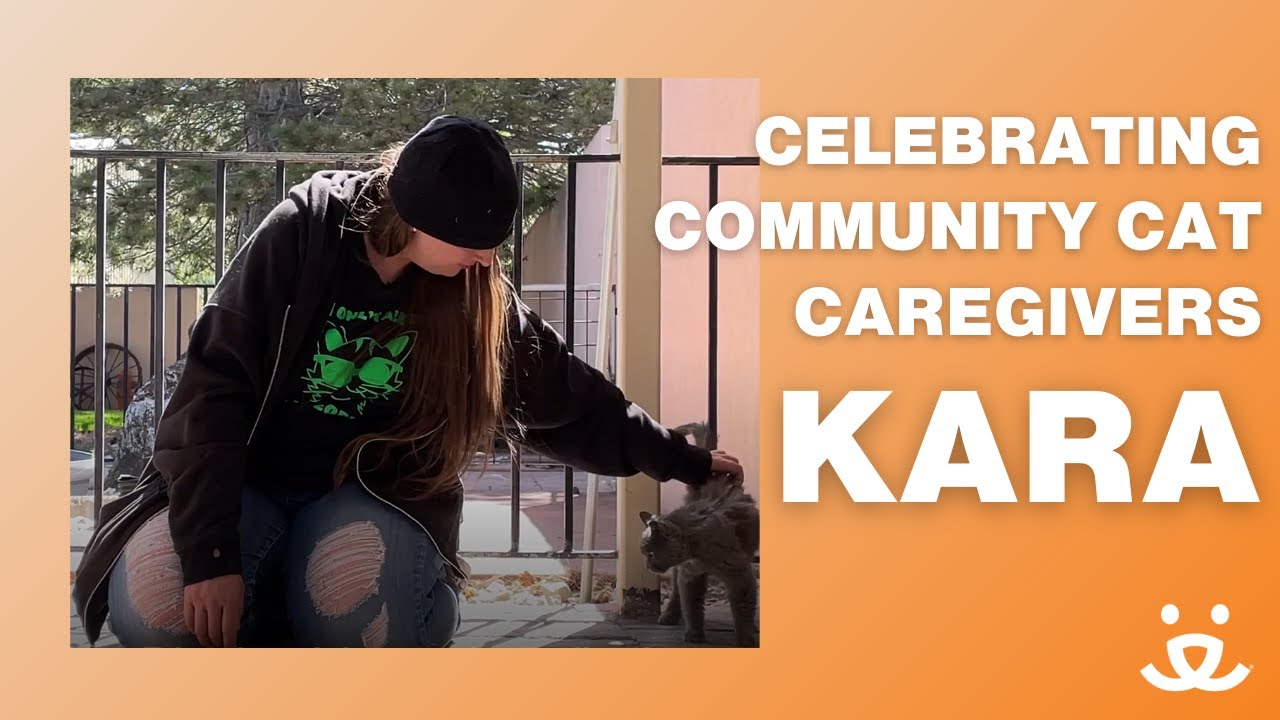 Celebrating Community Cats and Their Caregivers!