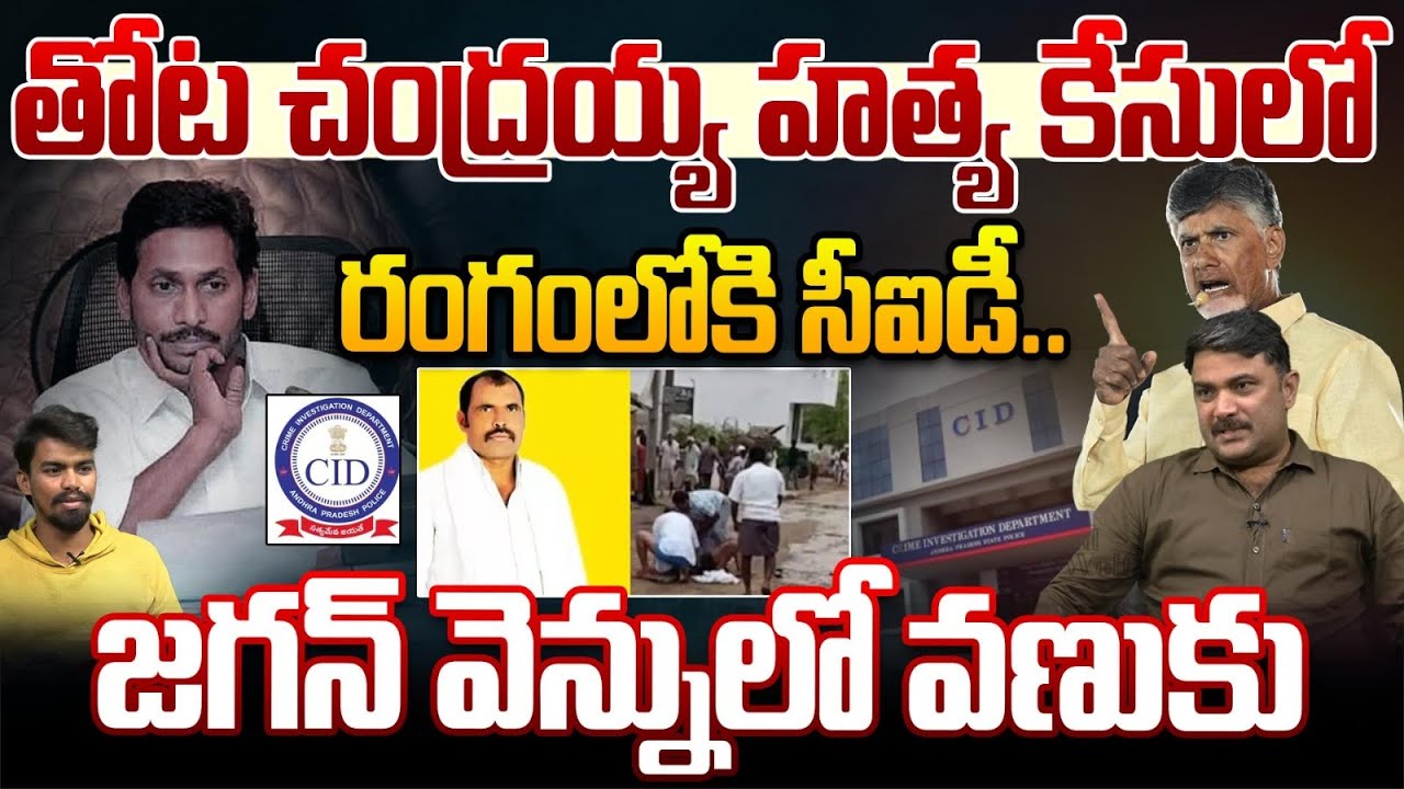 CM Chandrababu Big Shock To YCP | రంగంలోకి సీఐడీ.. జగన్ వెన్నులో వణుకు | YS Jagan |Wild Wolf Digital