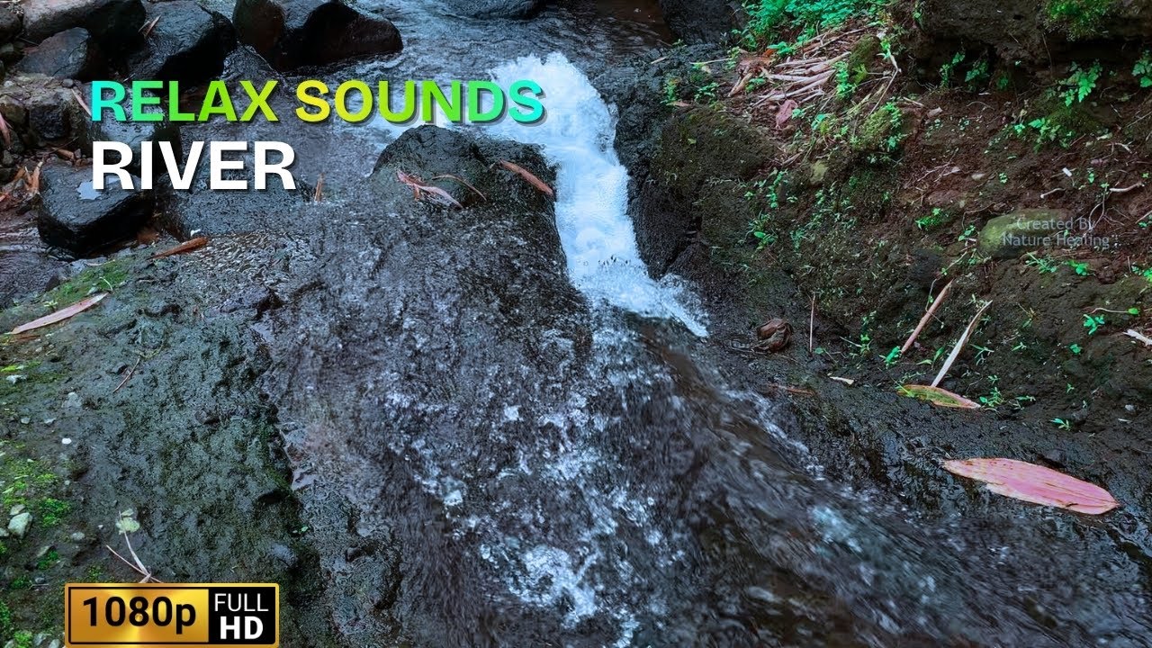 Calm River Flow Sound 🌊 Natural Water Ambience for Sleep, Study, Meditation