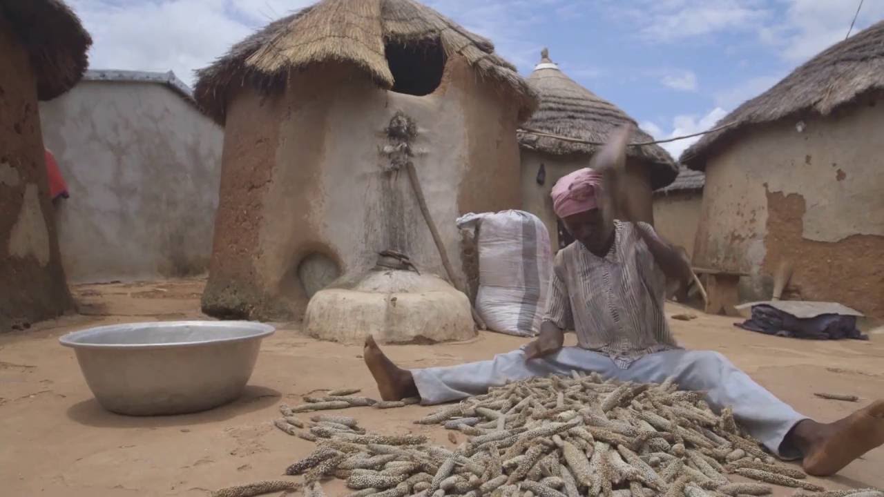 FMNR: Everything is Connected