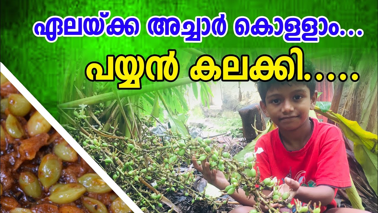 ഏലയ്ക്ക അച്ചാർ| Cardamom pickle