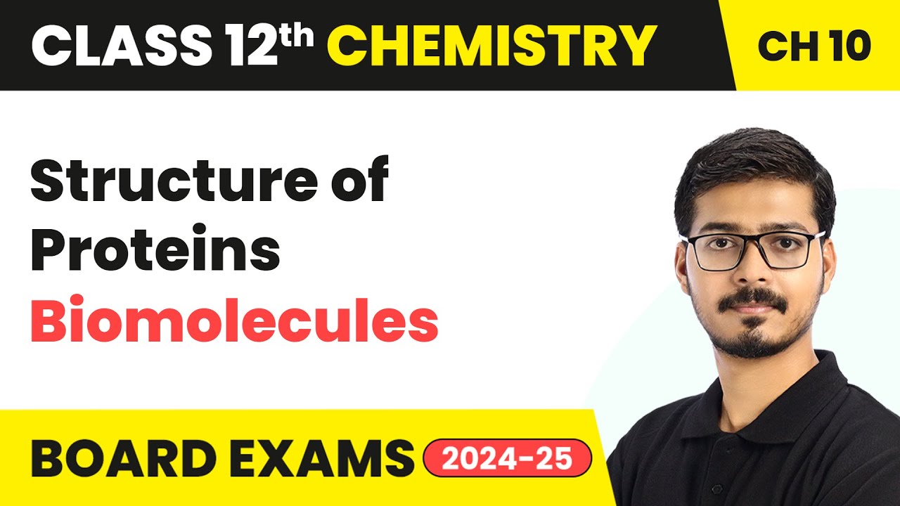 Structure of Proteins - Biomolecules | Class 12 Chemistry Chapter 10 | CBSE 2025-26