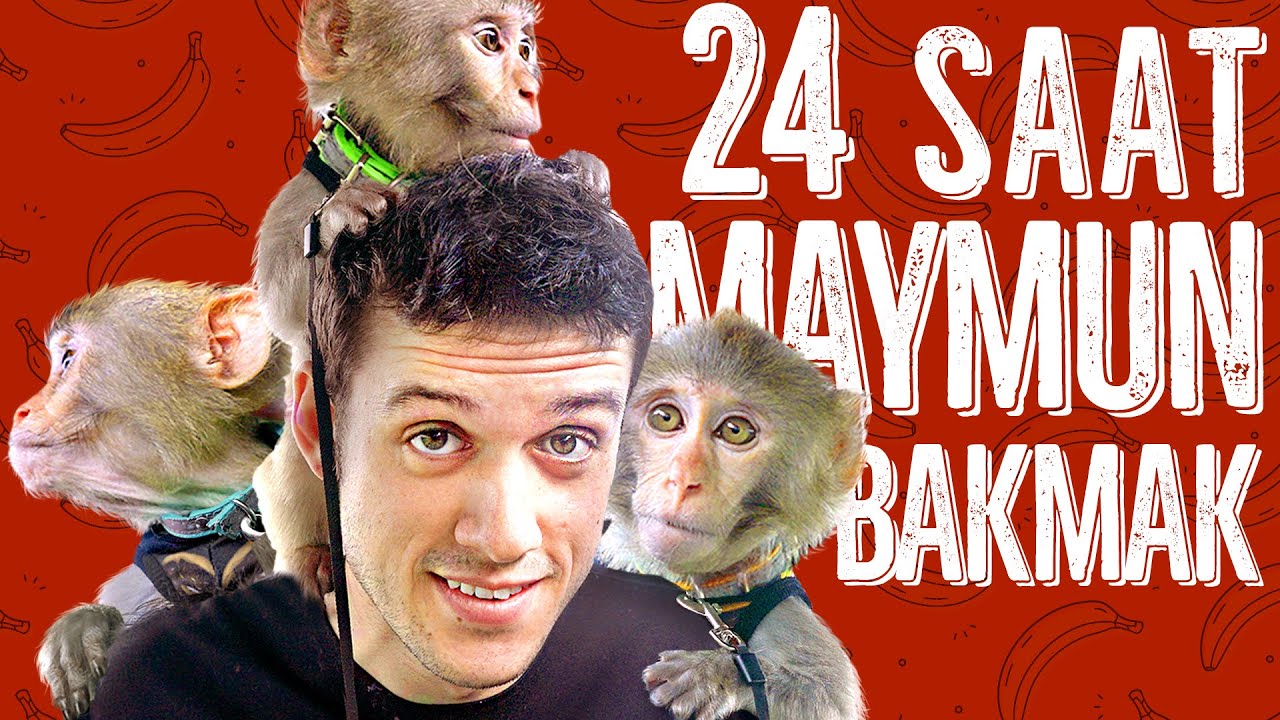 1 GÜNLÜĞÜNE MAYMUN BAKICISI OLDUM!