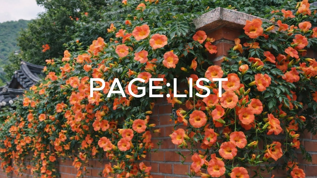 [𝑷𝒍𝒂𝒚𝒍𝒊𝒔𝒕]가벼워진다. 모든 것에서 놓여나듯. 이제야 진짜 가짜가 된 듯.|PAGE:LIST