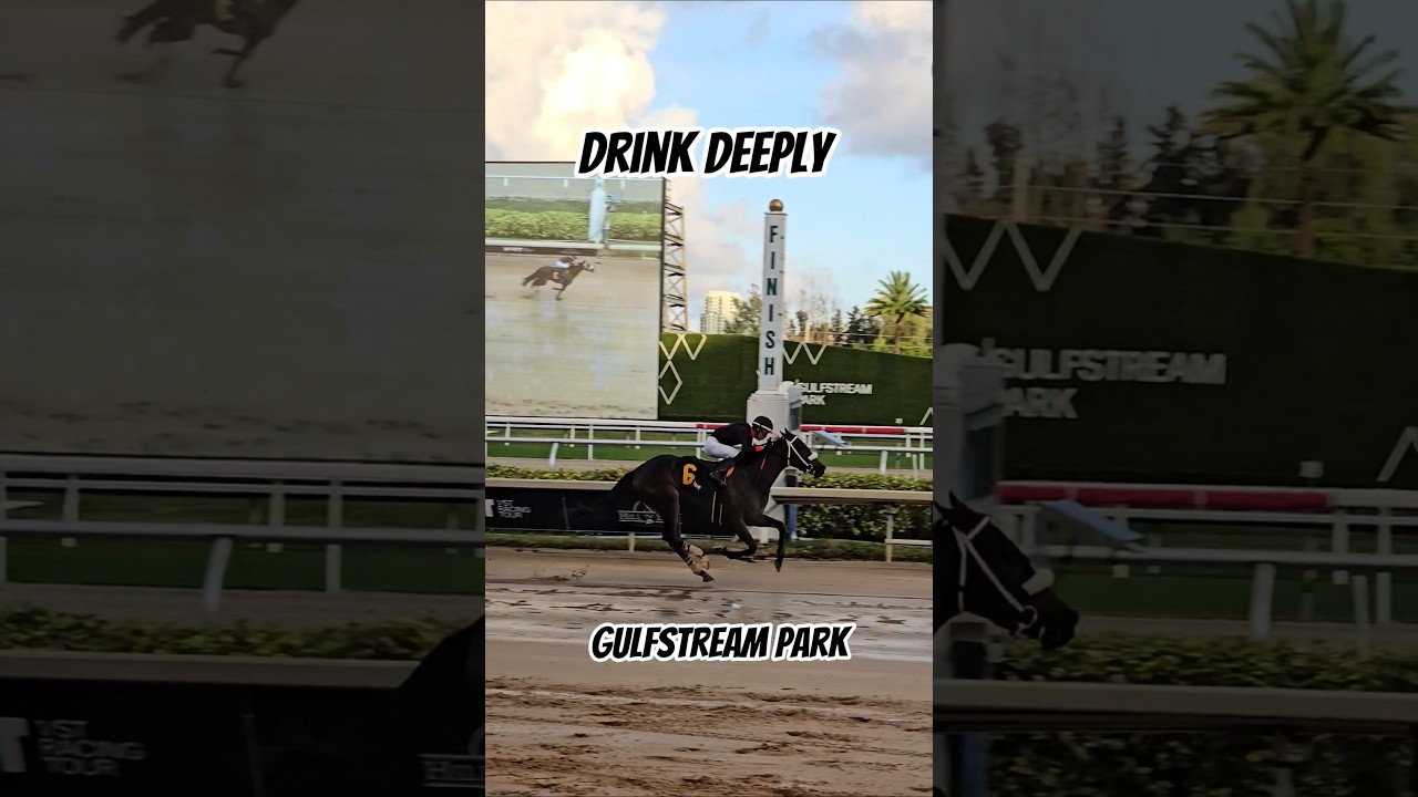 Drink Deeply and Yolber Torres capture the finale for trainer Diane Morici. 