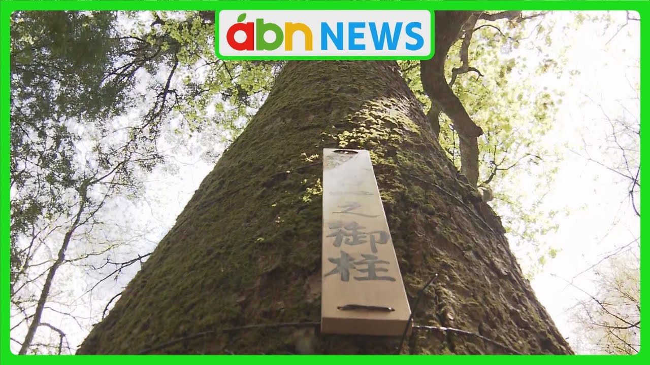3年後の諏訪大社御柱祭へ　御柱の候補の木が決まる（abnステーション　2025.05.12）