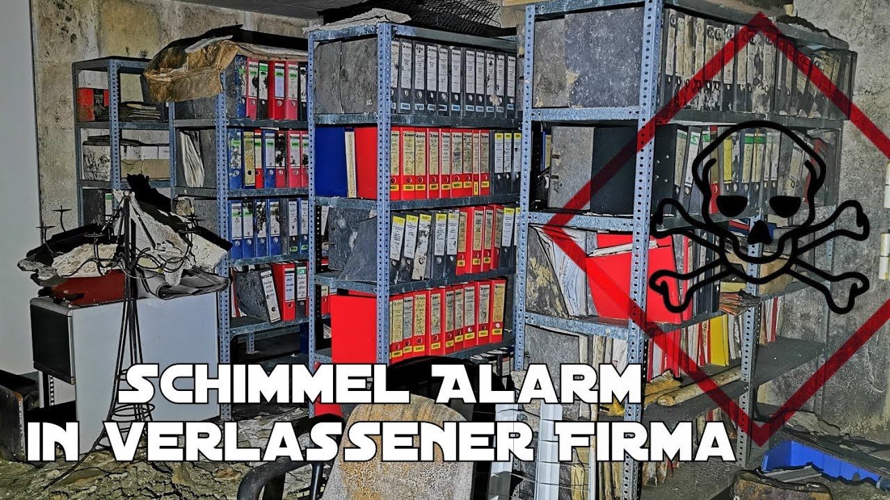 Firma einfach zurück gelassen! Alles noch da! Die Schimmel IT - 1 Jahr nach PJ Adventure!