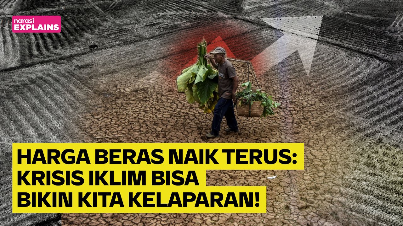Mati karena Kelaparan: Krisis Iklim Menciptakan Bencana Kekeringan | Narasi Explains