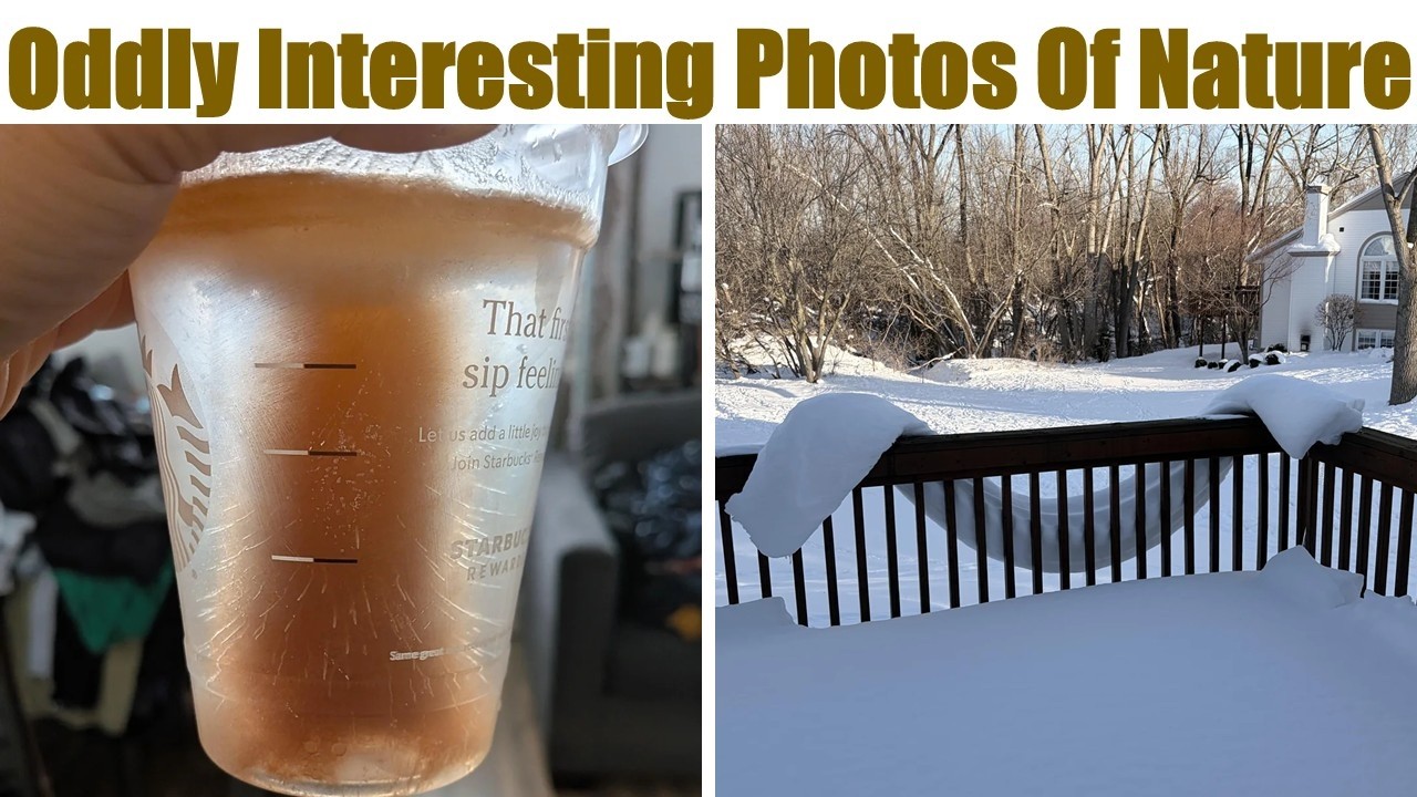 Oddly Interesting Photos Of Nature To Show You How Amazing Nature Is