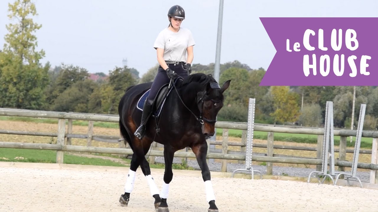 Le Club House : [CDD] Une matinée avec nous ! ☀🐴