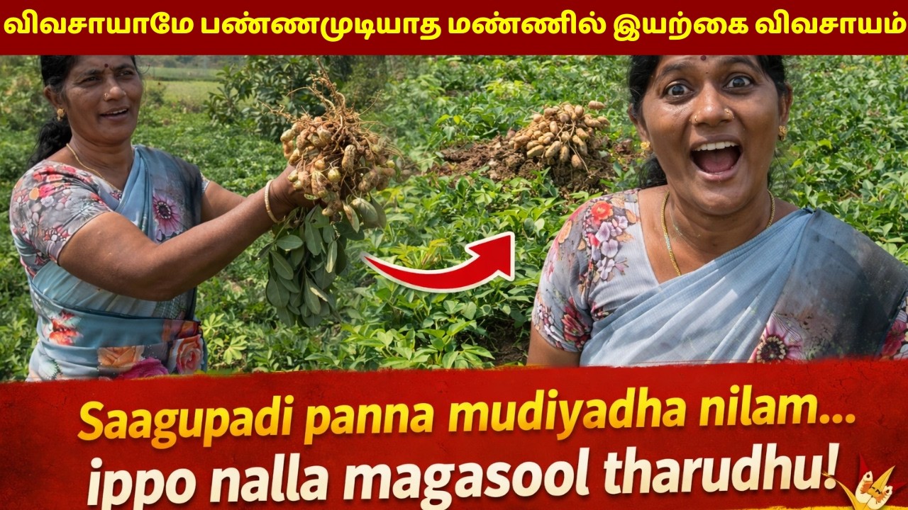 விவசாயாமே பண்ணமுடியாத மண்ணை வளமாக்கினேன் /I transformed infertile land into fertile soil.”