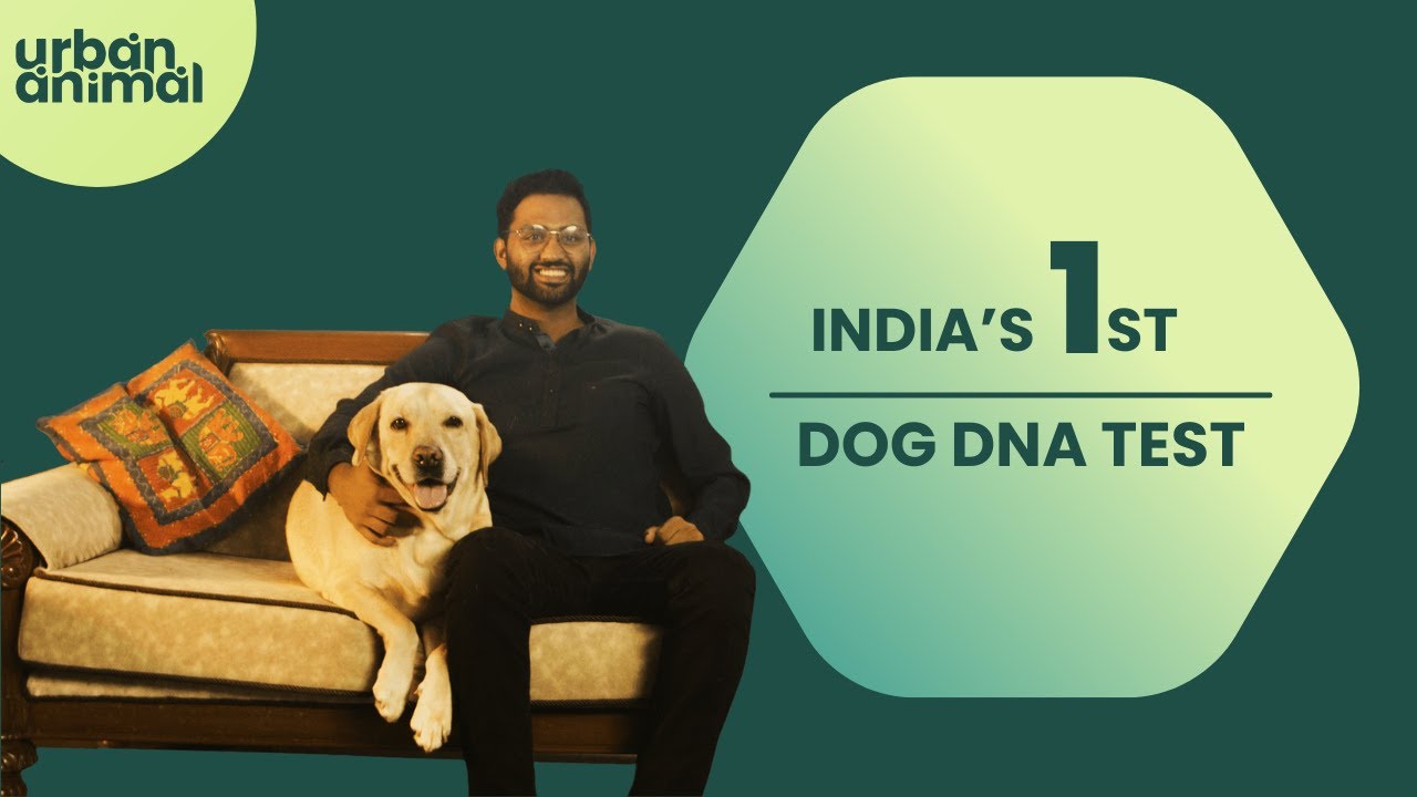 India 1st Dog Dna Test | Urban Animal