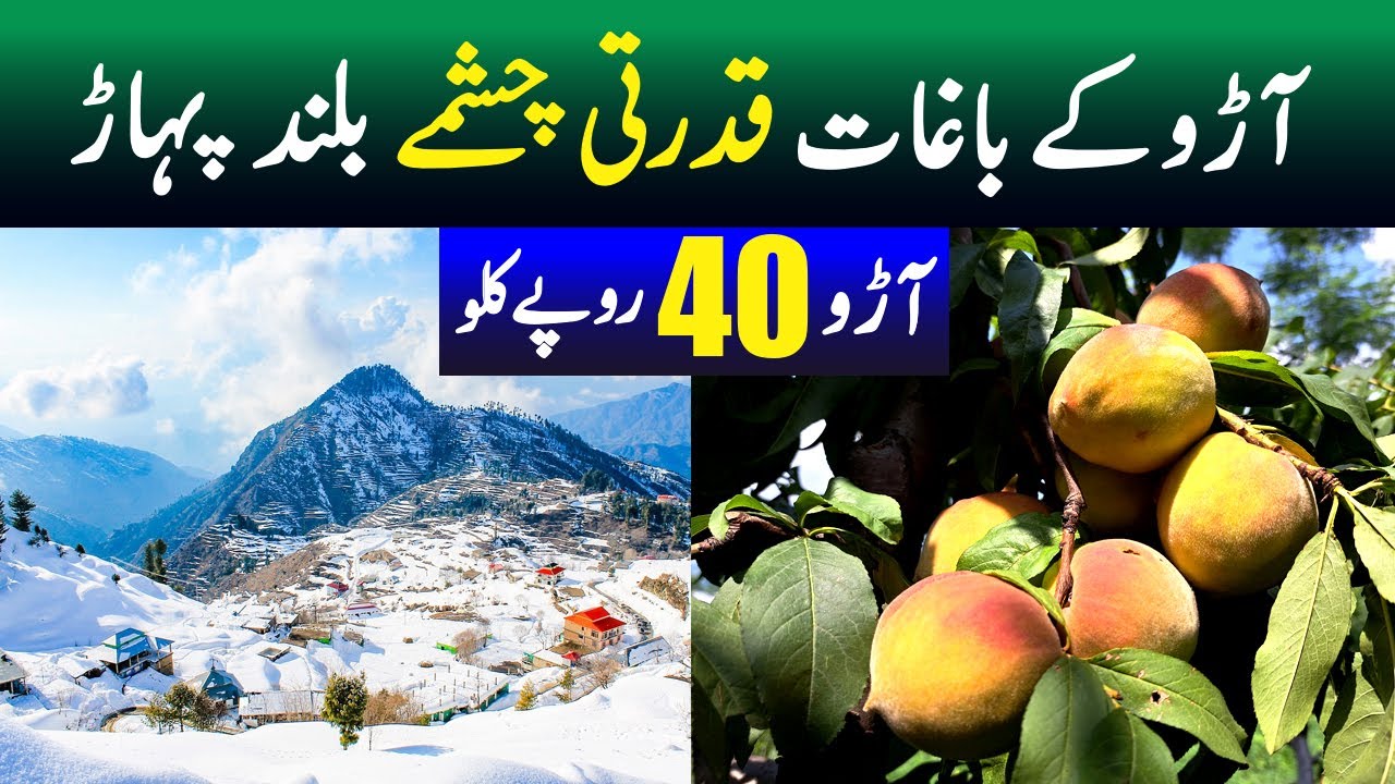 Beautiful valley of Pakistan | Peach Apple Orchards | Apple & peach garden | Beautiful waterfalls