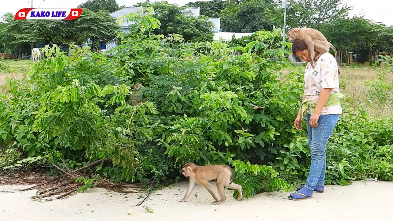 Happy Mr. KAKO Family Playing Outside Routine