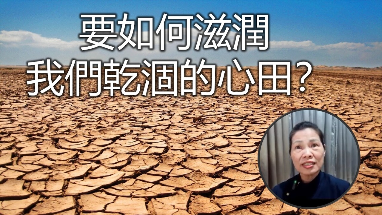 法華心香 第80集 心光遍照萬八千土 -20260214