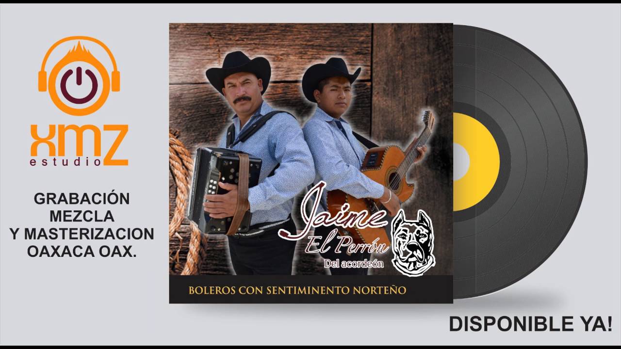 El perron del acordeon, interpreta 