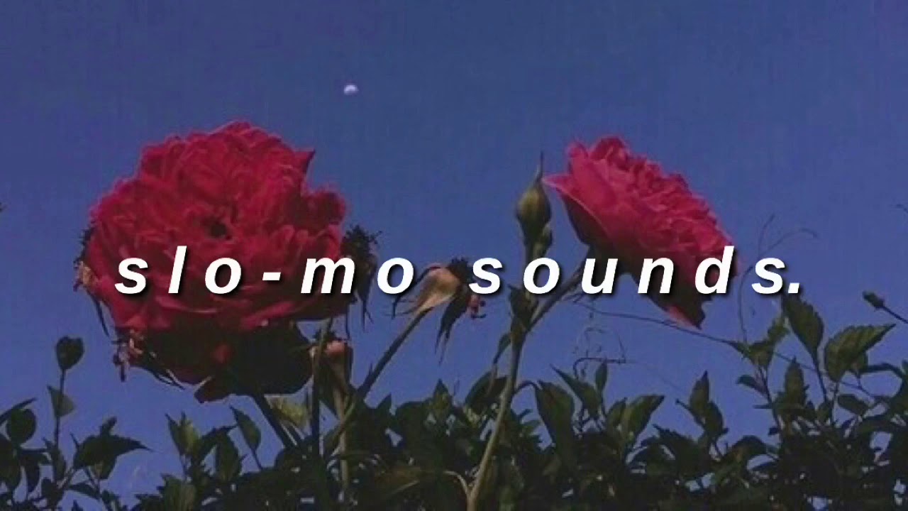 s p r i n g t i m e  s t r o l l... //slowed down