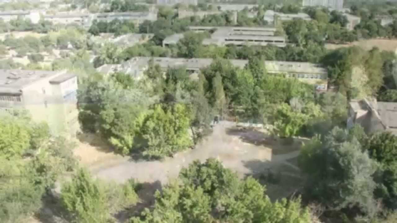 Вы родом из Ангрена, если...