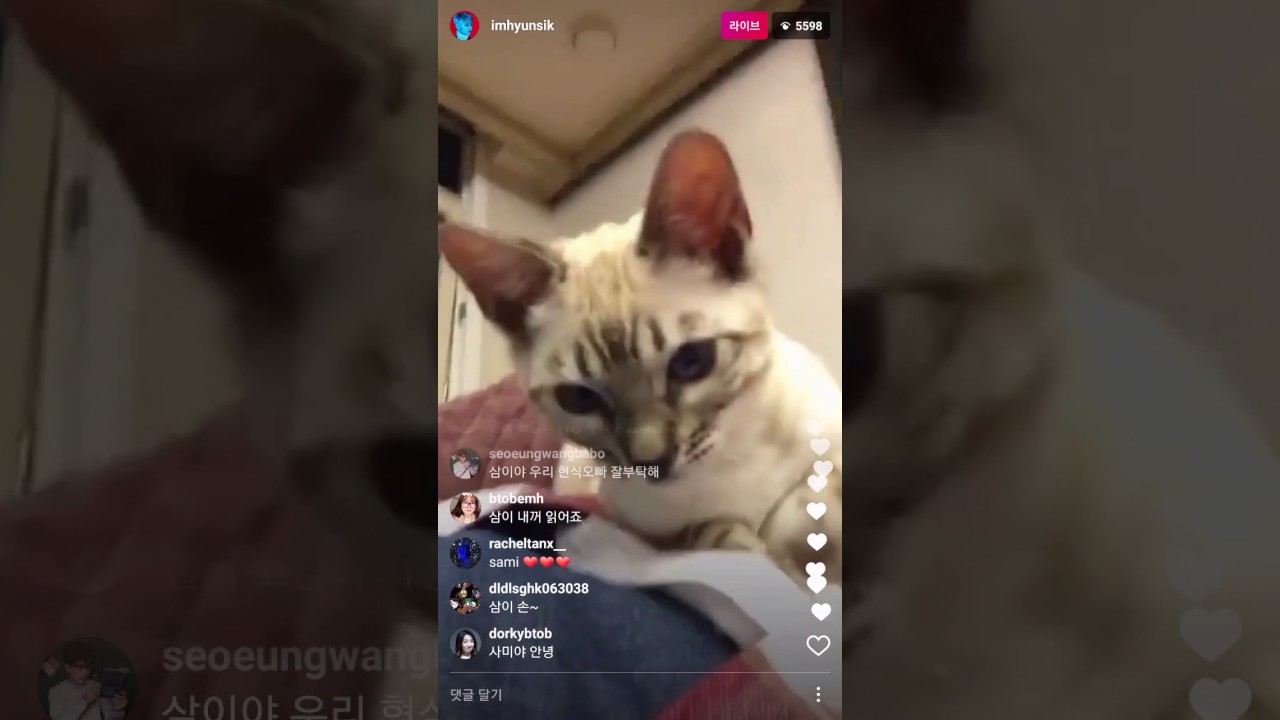 170304 비투비 임현식 인스타라이브 삼이❤