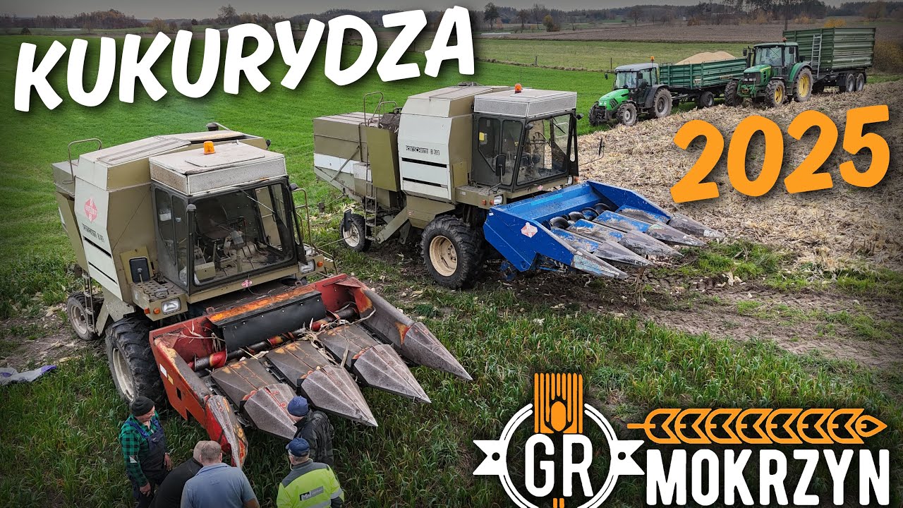 KUKURYDZA w 2025 🌽 Sucho nie będzie... Wilgotność powala / Próba w mojej kukurydzy