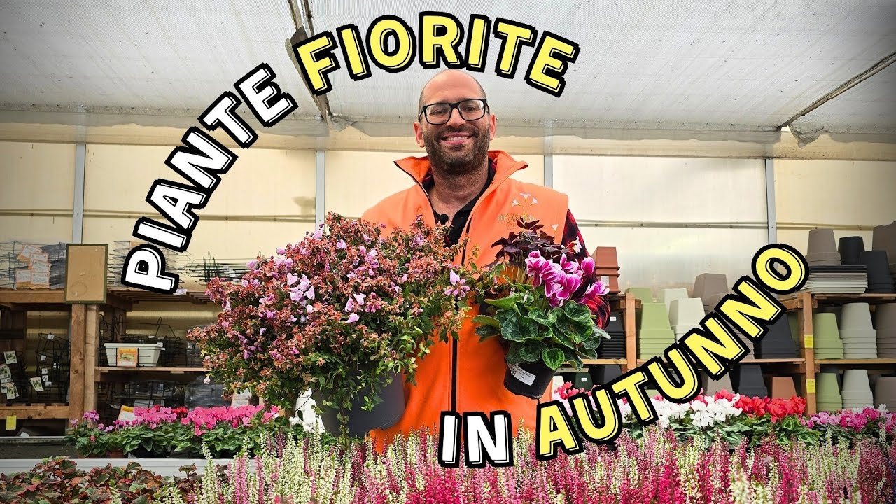 Quali Piante da Balcone e Giardino Fioriscono in Autunno?