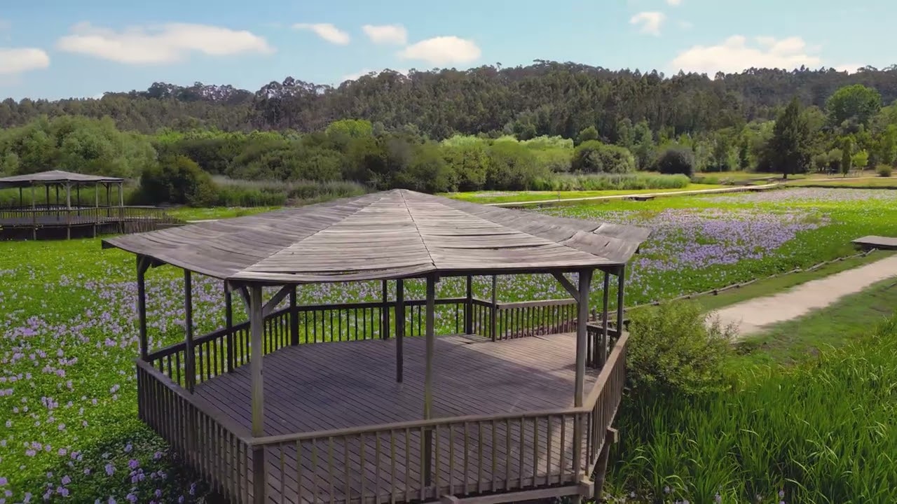 Pateira de Espinhel | DJI MINI 3 PRO