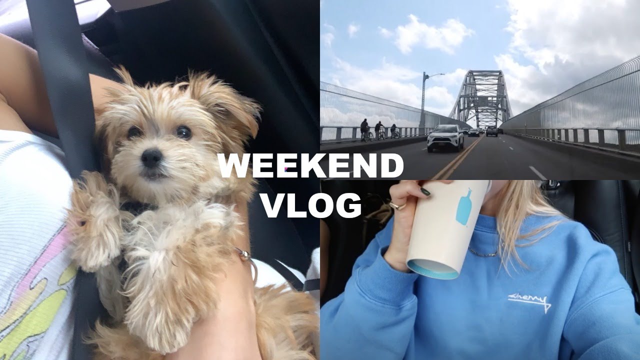 VLOG: puppy training & first weekend of fall!
