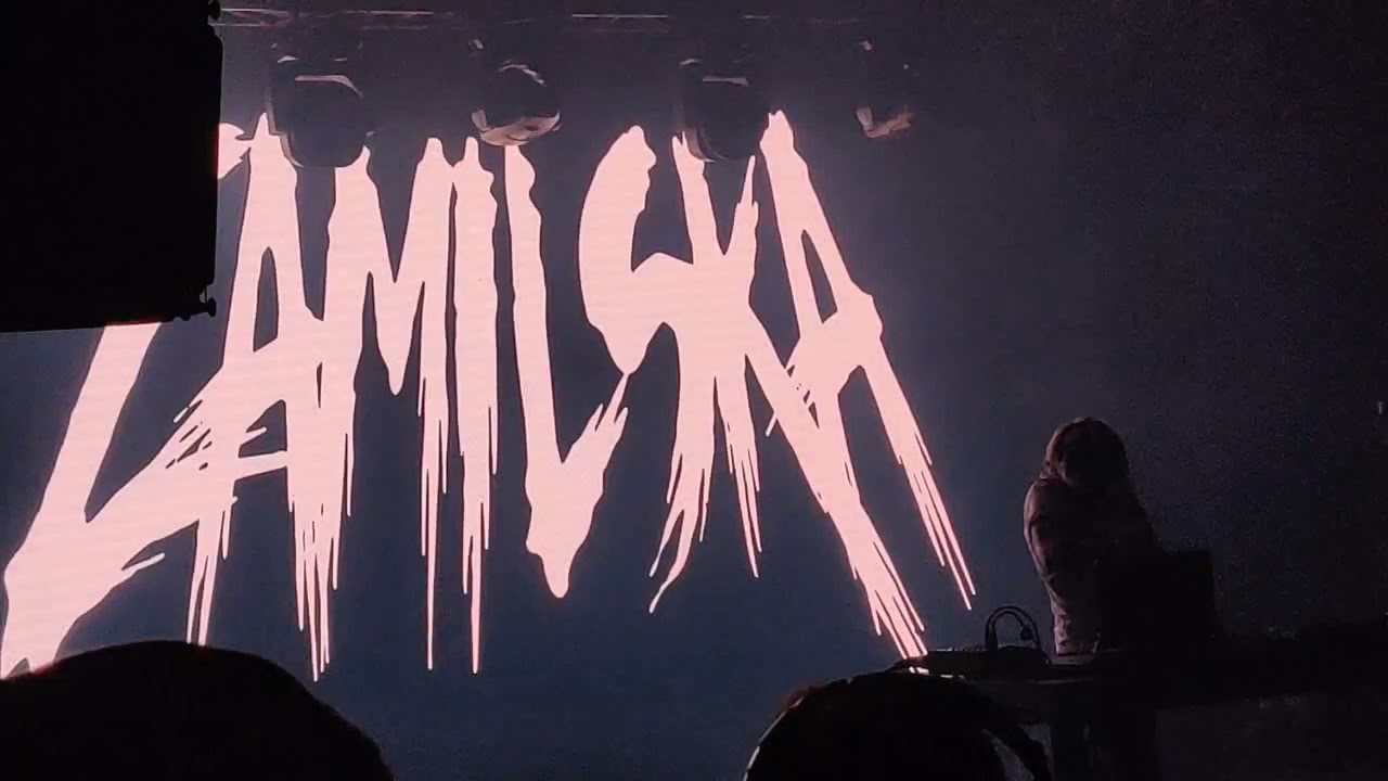 Butch Kassidy, Zamilska, Lee Ranaldo & Leah Singer, Dopey Monkey, Wuks - Inne Brzmienia live