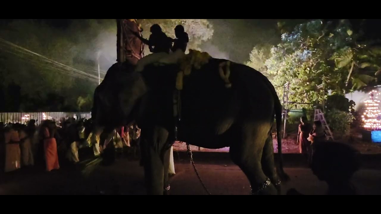 Nalam karavilakku maholsavam |Aiyankoickal Temple |