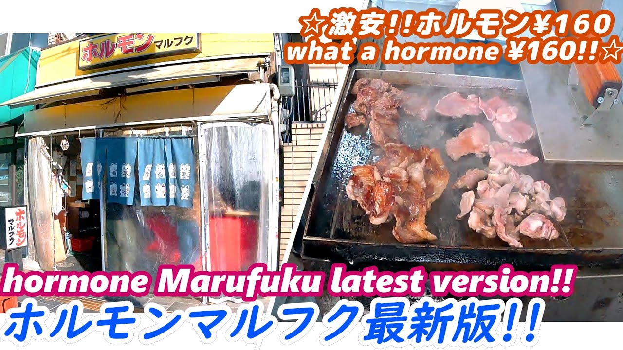 【ホルモンマルフク最新情報】 Hormone MARUFUKU latest version hormonyaki grilled hormone ホルモン大阪 西成 やまき せんべろ 焼肉