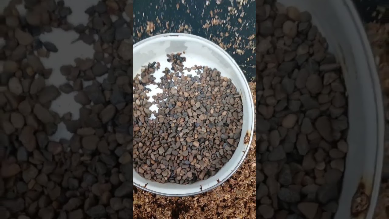 БЕЗ ЭТОГО ЯИЦ ОТ КУР!!! НЕ УВИДИШЬ!!!  15.02.2025 год.