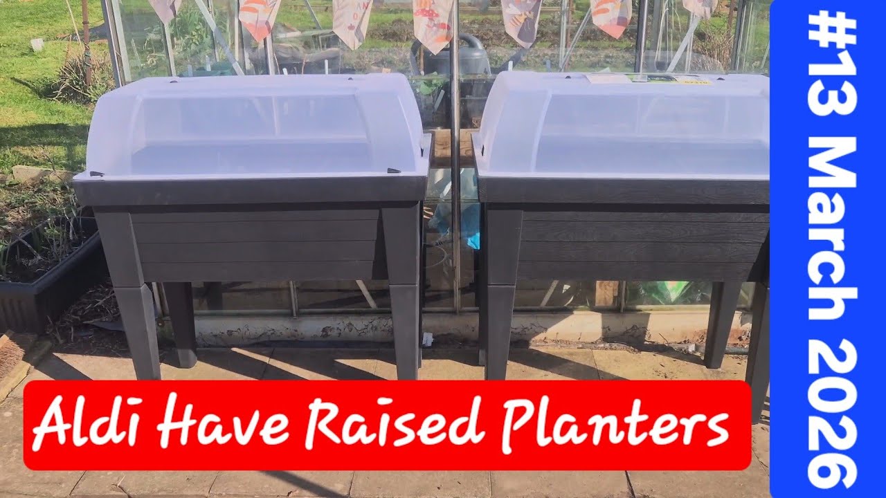 Aldi Have Planters 😃 😊 😀 
