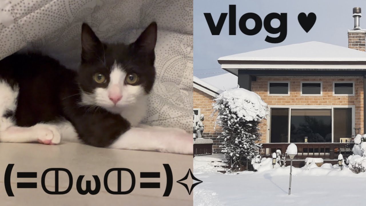 Vlog) 택시 타고 알바 가는 백수 일상 | 캣타워🐱 · 셀프 네일 · 시골 주택살이🏡 · 테무깡