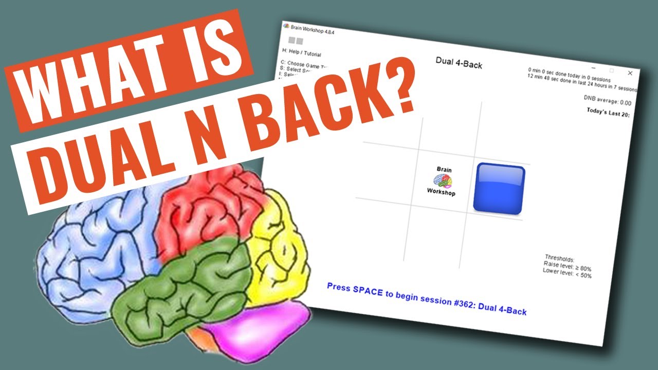 🧠 What Is The Dual N Back Brain Training Experiment? (Brain Workshop Website & 2008 Article) 🧠