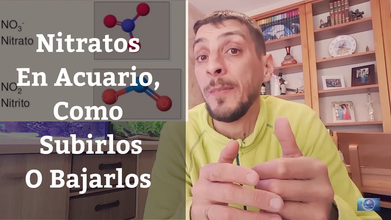 🔵 Nitratos En Acuario,Como Subirlos O Bajarlos (Acuarios MB)